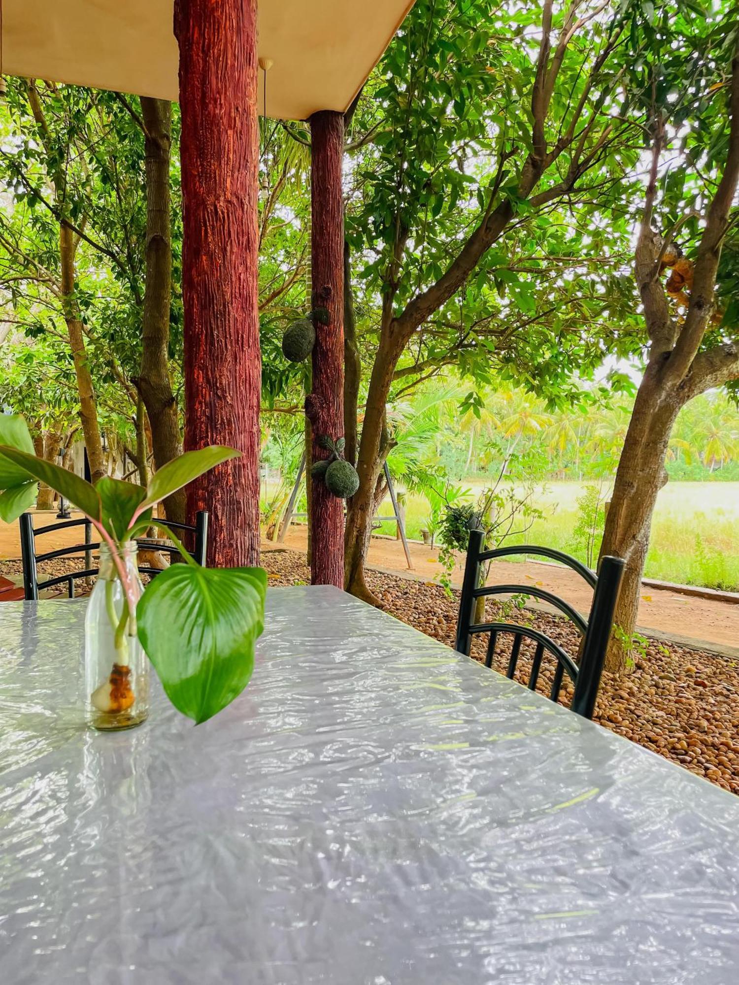 V Cabanas & Yala Safari Place Tissamaharama Εξωτερικό φωτογραφία