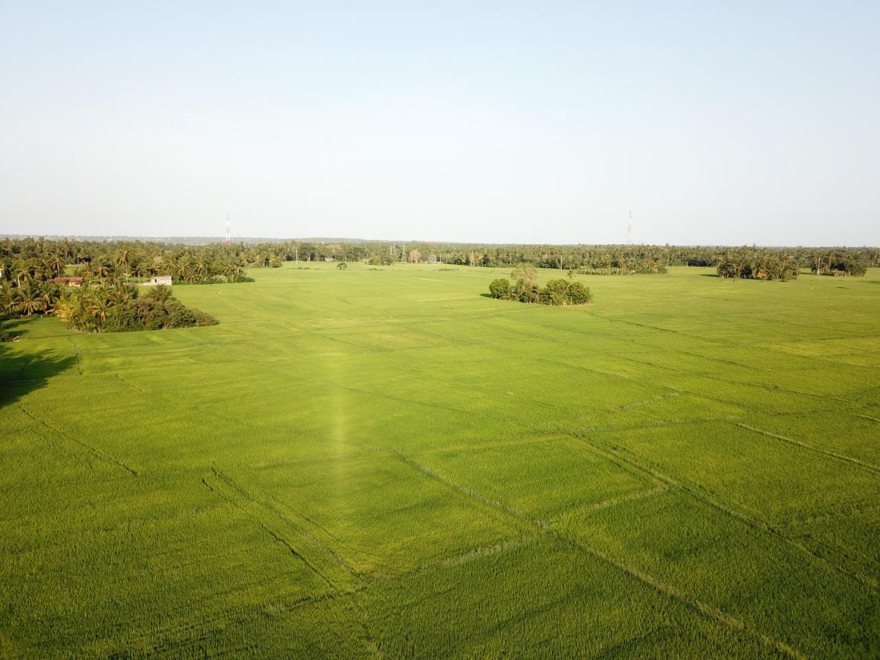 V Cabanas & Yala Safari Place Tissamaharama Εξωτερικό φωτογραφία